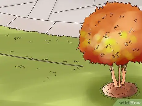 Установите уличный светильник Шаг 6