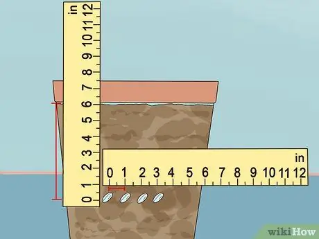 Выращивание салата в помещении, шаг 3
