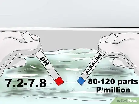 Избавьтесь от водорослей с черными пятнами в вашем бассейне Шаг 2