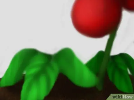 Используйте небольшой боковой двор Шаг 6