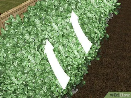 Обрезка кустов Шаг 7