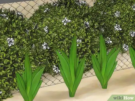 Скрыть забор Шаг 10