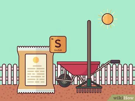 Накормите газон в теплое время года Шаг 8
