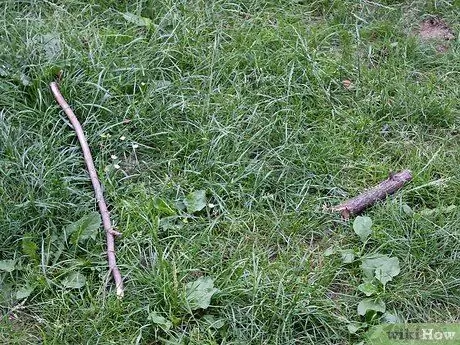 Сделайте кнопки из веток Шаг 1