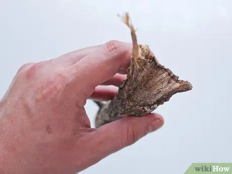 Делаем кнопки из веток Шаг 3