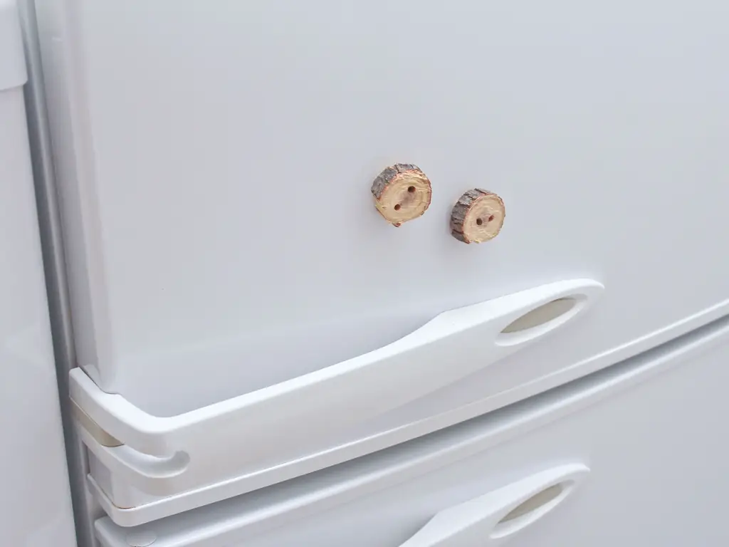 Как сделать пуговицы из веток: 11 шагов (с картинками)