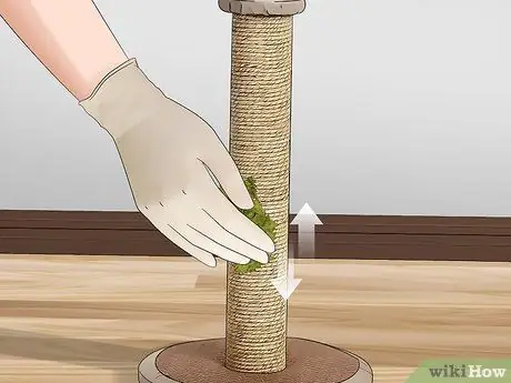 Используйте кошачью мяту Шаг 1