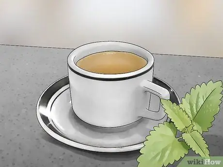 Используйте кошачью мяту Шаг 11