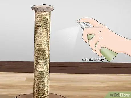 Используйте кошачью мяту, шаг 2