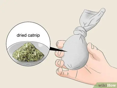 Используйте кошачью мяту Шаг 4