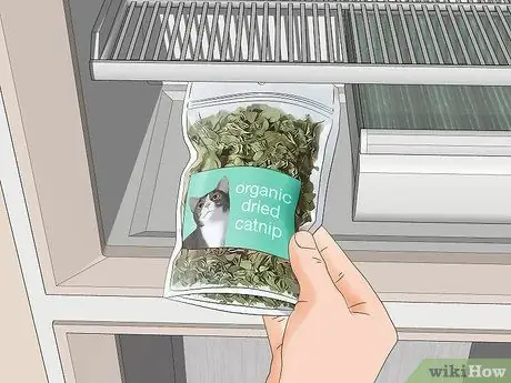 Используйте кошачью мяту Шаг 8