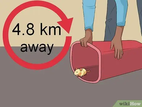 Поймать мышку Шаг 17