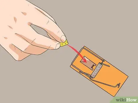 Поймай мышку, шаг 3