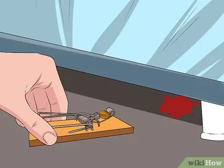 Поймать мышку Шаг 4