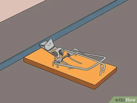 Поймай мышку Шаг 5