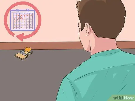 Поймай мышку Шаг 7