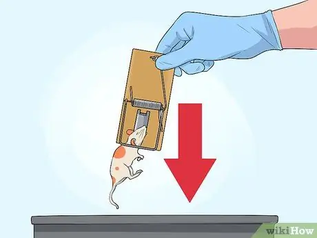 Поймай мышку Шаг 8