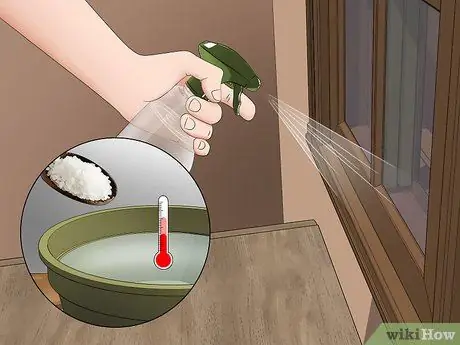 Убить ядовитого паука Шаг 13