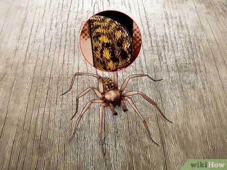Убить ядовитого паука Шаг 6