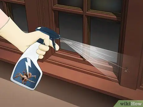 Убить ядовитого паука. Шаг 7