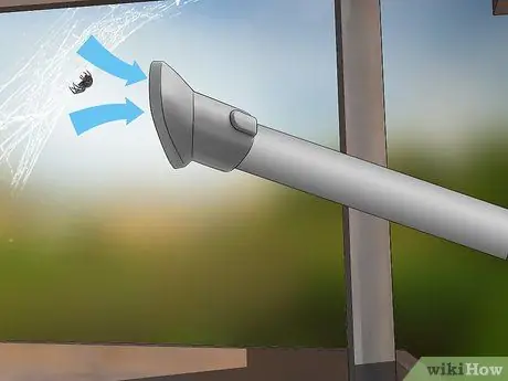 Убить ядовитого паука. Шаг 8