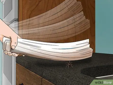 Убить ядовитого паука Шаг 9