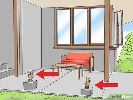 Не подпускайте птиц к крыльцу Шаг 2