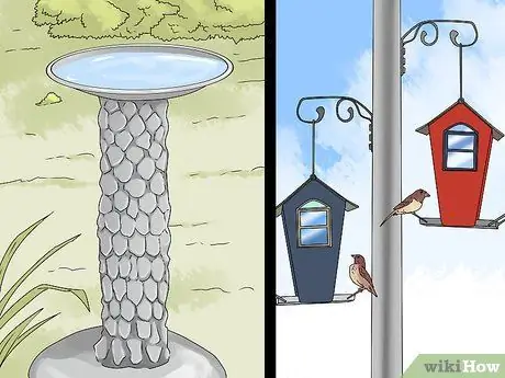 Не подпускайте птиц к крыльцу Шаг 4