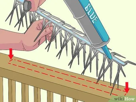 Не подпускайте птиц к крыльцу Шаг 8