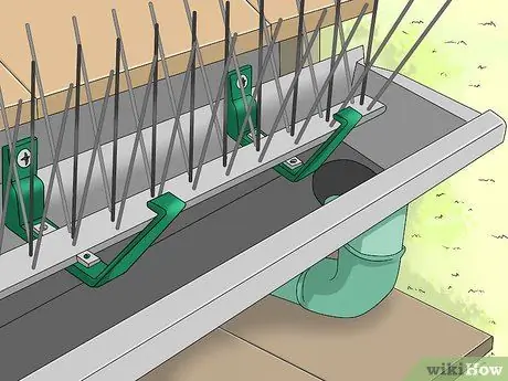 Не подпускайте птиц к крыльцу Шаг 9