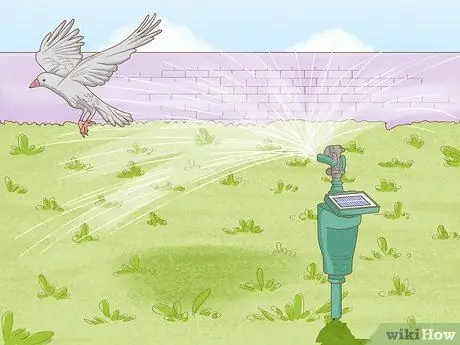 Избавиться от птиц, шаг 10