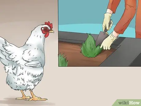 Repel Chickens Шаг 11