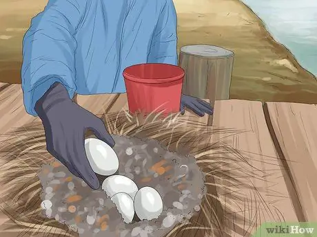 Избавиться от гусей Шаг 7