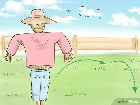 Держите сов подальше от цыплят Шаг 11