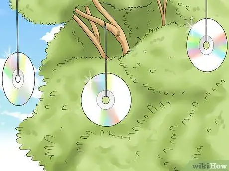 Держите сов подальше от цыплят Шаг 14