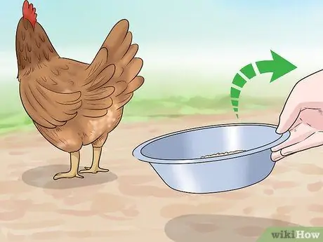 Держите сов подальше от кур, шаг 2