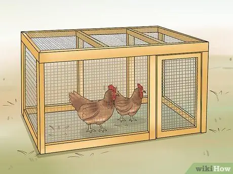 Держите сов подальше от цыплят Шаг 3