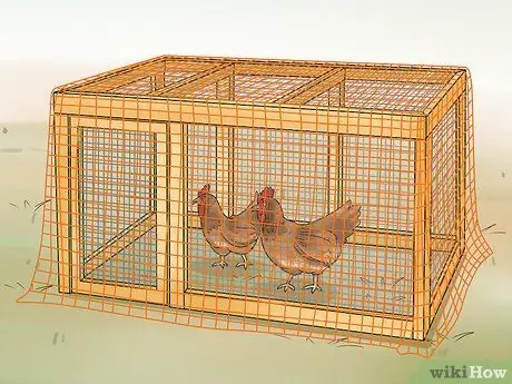 Держите сов подальше от кур Шаг 5