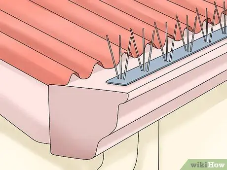 Держите сов подальше от кур Шаг 8