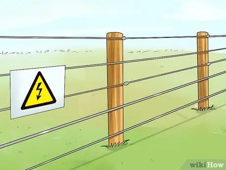 Держите сов подальше от кур Шаг 9