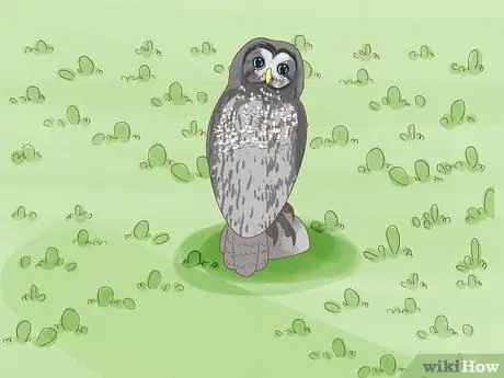 Защитите свой сад от птиц Шаг 7