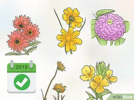 Посадить полевые цветы Шаг 1