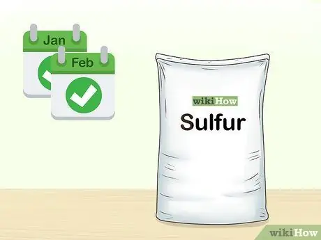 Посадить полевые цветы Шаг 10