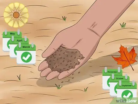 Посадить полевые цветы Шаг 12