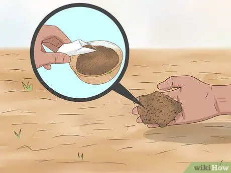 Сажать полевые цветы Шаг 14