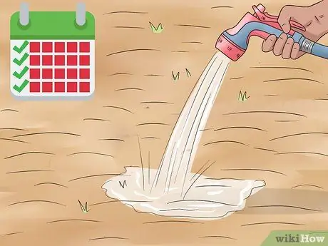 Сажать полевые цветы Шаг 15