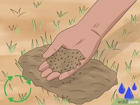 Сажать полевые цветы Шаг 16