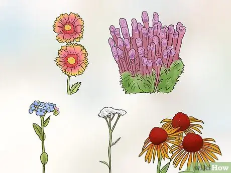 Сажать полевые цветы Шаг 2