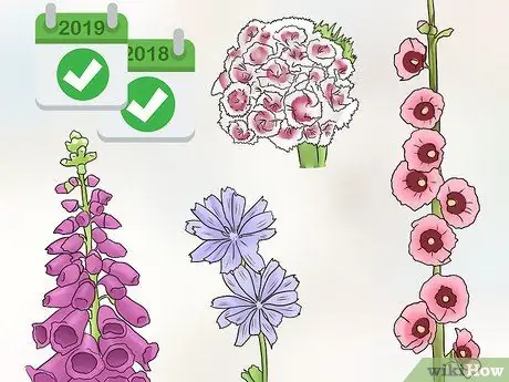 Посадить полевые цветы Шаг 3