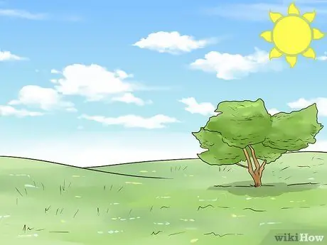 Посадить полевые цветы Шаг 4